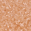 MIYUKI Delica Beads SEED-X0054-DB0821-3