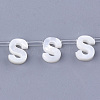 Natural Sea Shell Beads SHEL-T012-60S-1