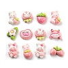 Cute Opaque Resin Decoden Cabochons RESI-S04-01-1