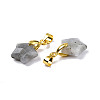 Natural Labradorite Charms G-N326-142-06-3