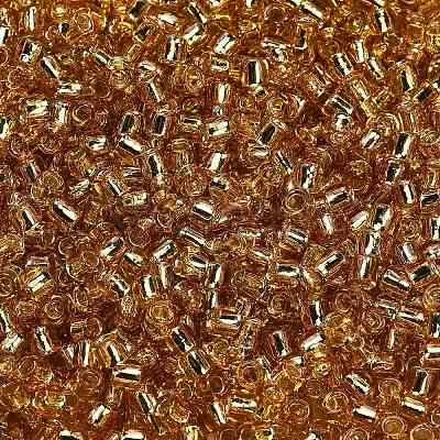 TOHO 6/0 Round Beads X-SEED-TR06-0022-1