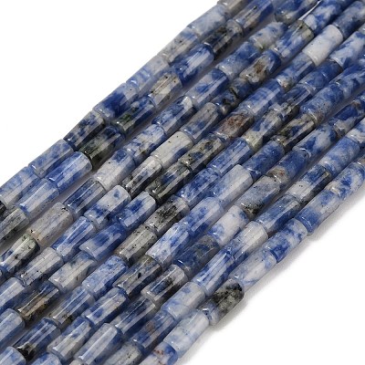 Natural Blue Spot Jasper Beads Strands G-P600-B05-01-1