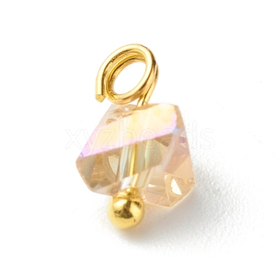 Electroplate Glass Charms PALLOY-JF00821-07-1