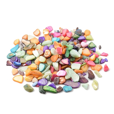 50G Dyed Natural Freshwater Shell Chip Beads BSHE-YW0001-04-1