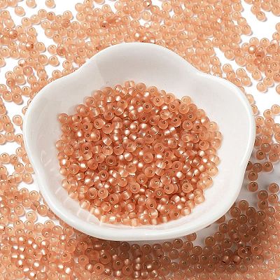 8/0 Glass Seed Beads SEED-Z001-C-E10-1