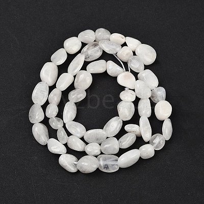 Natural Rainbow Moonstone Beads Strands G-G018-48-01-1