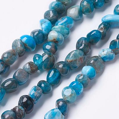 Natural Apatite Beads Strands G-F506-12-1