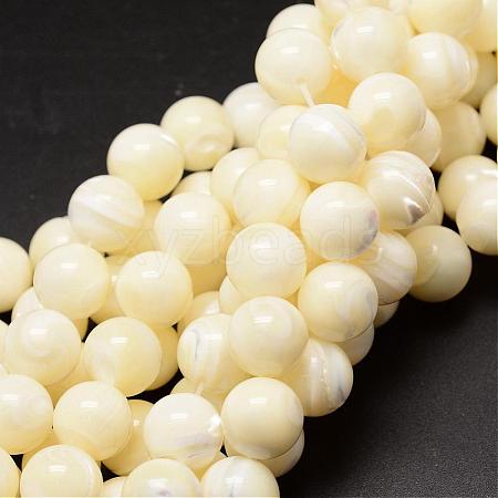 Natural Sea Shell Beads Strands SSHEL-K013-12mm-A-1