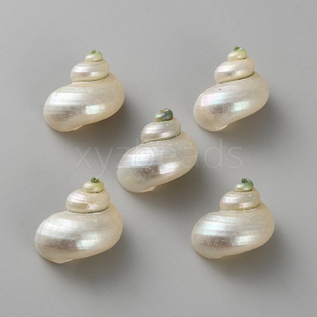 Mini Natural Mixed Shell Beads FIND-WH0609-17A-1