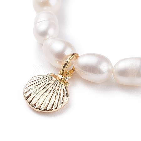 Shell Shaped Brass Pendant Necklace with Natural Pearl for Women NJEW-JN03831-1