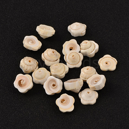 Flower Natural Shiva Eye Shell Beads BSHE-M015-02-1