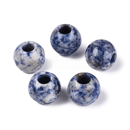 Natural Blue Spot Jasper Beads G-Q608-05H-1