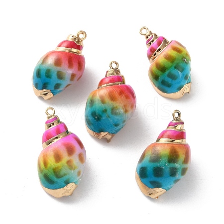 Conch Shell Pendants SSHEL-B002-06C-1