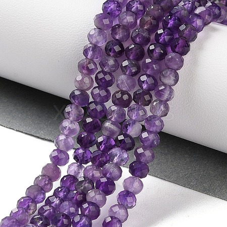 Natural Amethyst Beads Strands G-N342-24-1