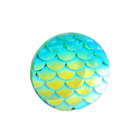 Resin Cabochons X-CRES-Q191-HA023-3-1