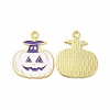 Rack Plating Alloy Enamel Pendants FIND-G054-17LG-01-1