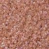MIYUKI Delica Beads SEED-X0054-DB0054-3