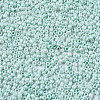 Glass Seed Beads SEED-S060-A-973-3