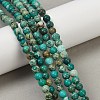 Dyed Natural Regalite/Imperial Jasper/Sea Sediment Jasper Beads Strands X-G-B124-C04-07-5
