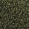 MIYUKI Delica Beads SEED-X0054-DB2404-2
