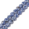 Natural Blue Spot Jasper Beads Strands G-K359-C17-01-1