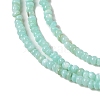 Natural Freshwater Shell Beads Strands SHEL-P017-01A-08-3