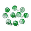 Transparent Crackle Acrylic Beads CACR-N002-23B-3