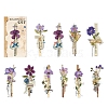 20Pcs 10 Styles Simulated Dried Flower Theme PET Stickers Sets PW-WG76900-05-1