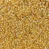 MIYUKI Round Rocailles Beads X-SEED-G009-RR0003-4
