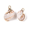 Natural Sea Shell Pendants SSHEL-N038-43-1