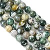 Natural Agate Round Gemstone Beads Strands X-G-R255-8mm-3