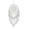 Woven Web/Net with Feather Wall Hanging Decorations PW-WG47321-01-3