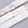 Natural White Shell Beads Strands BSHE-P026-31-1