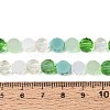 Electroplate Glass Beads Strands EGLA-N022-03A-A06-4