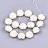 Freshwater Shell Multi-strand Links Strands SSHEL-T007-20B-2