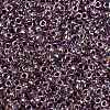 MIYUKI Round Rocailles Beads SEED-G009-RR3206-3