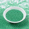 MIYUKI Round Rocailles Beads SEED-X0054-RR0225-2