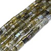 Natural Labradorite Beads Strands G-K245-C01-01-1