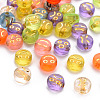 Transparent Mixed Color Acrylic Beads TACR-Q102-003B-1