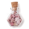 3Pcs Glass Wishing Bottle Decorations PALLOY-JF03097-3