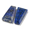 Dyed Natural Lapis Lazuli Pendants G-G123-02E-2