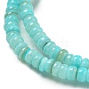 Dyed Natural Freshwater Shell Beads Strands BSHE-G039-07C-3