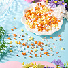 Mixed Styles Acrylic Beads SACR-TA0001-81C-5