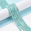 Natural Amazonite Round Beads Strands X-G-A025-01A-2