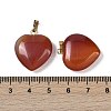 Dyed & Heated Natural Carnelian Pendants G-G956-B52-G-3