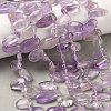 Natural Amethyst Beads Strands G-P604-A08-01-1