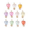 Transparent Acrylic Pendants PALLOY-JF03346-1