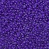 MIYUKI Round Rocailles Beads SEED-G007-RR0176-3