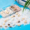 4 Style Natural Cowrie & Trumpet & Sea Shell Beads BSHE-FS0001-03-5