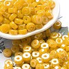 Opaque Colours Luster Glass Seed Beads SEED-E001-P3x6mm-A09-1